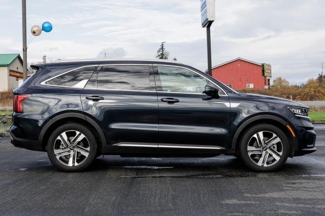 used 2023 Kia Sorento Hybrid car