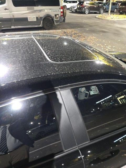 used 2024 Honda Accord Hybrid car, priced at $27,477