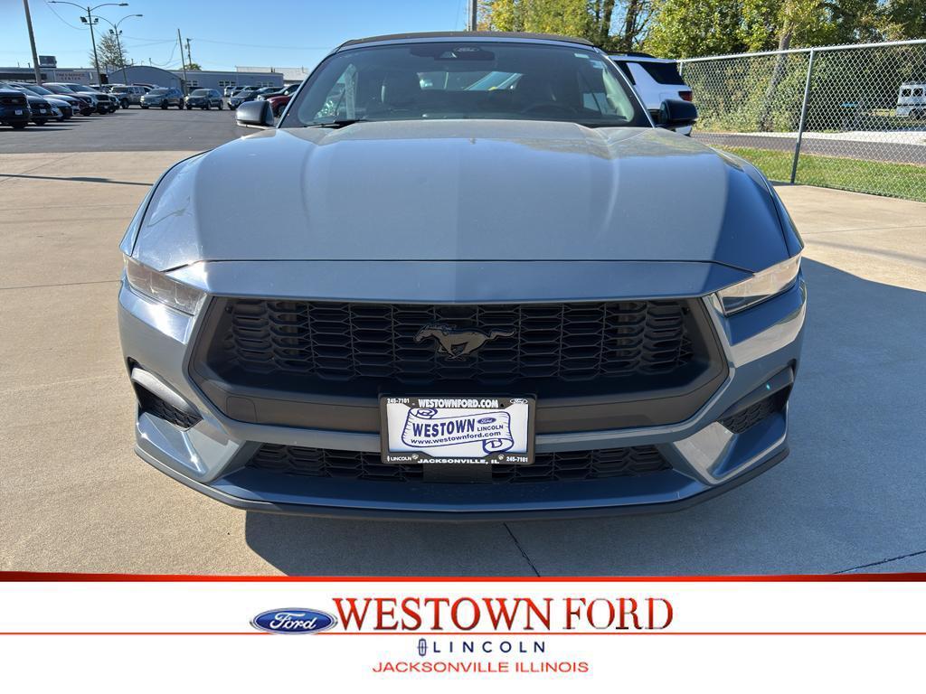 used 2024 Ford Mustang car, priced at $35,990