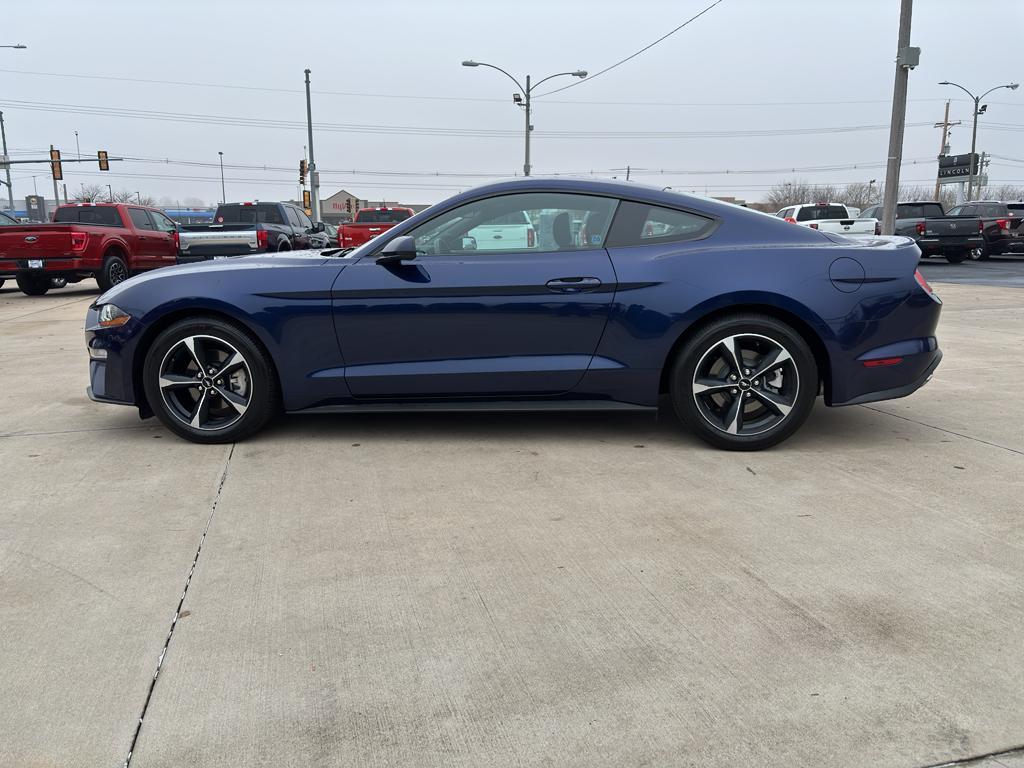 used 2019 Ford Mustang car, priced at $21,991