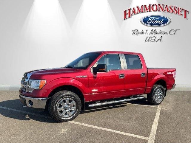 used 2014 Ford F-150 car, priced at $25,995