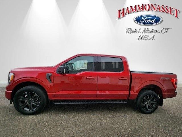 used 2021 Ford F-150 car, priced at $39,995