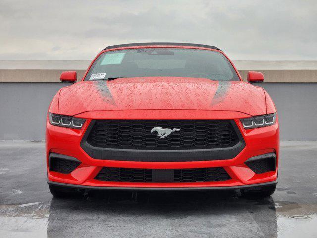 used 2024 Ford Mustang car, priced at $34,899