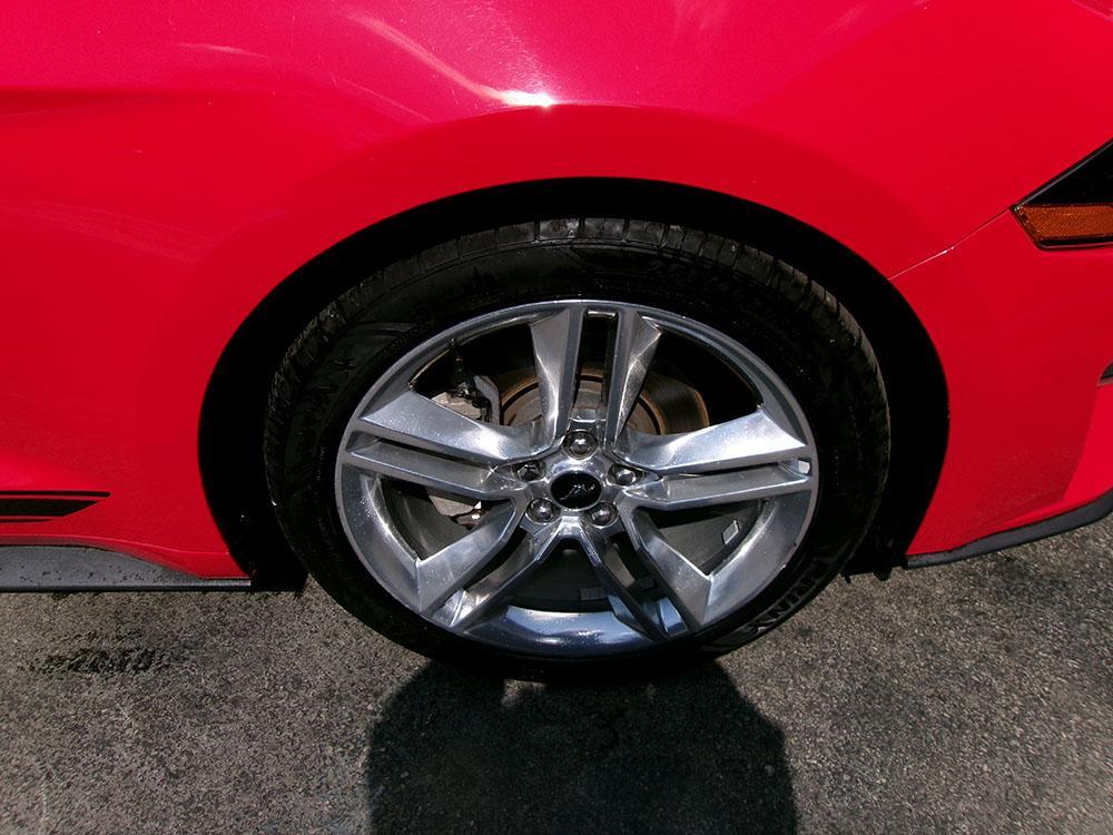 used 2019 Ford Mustang car, priced at $9,900