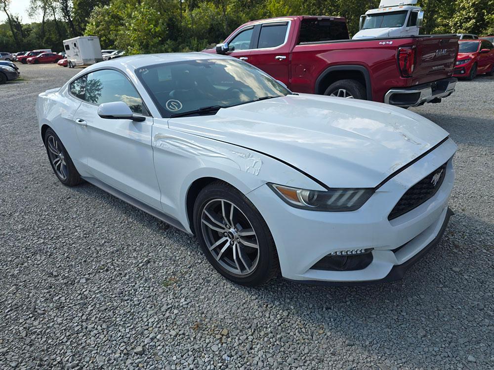 used 2016 Ford Mustang car