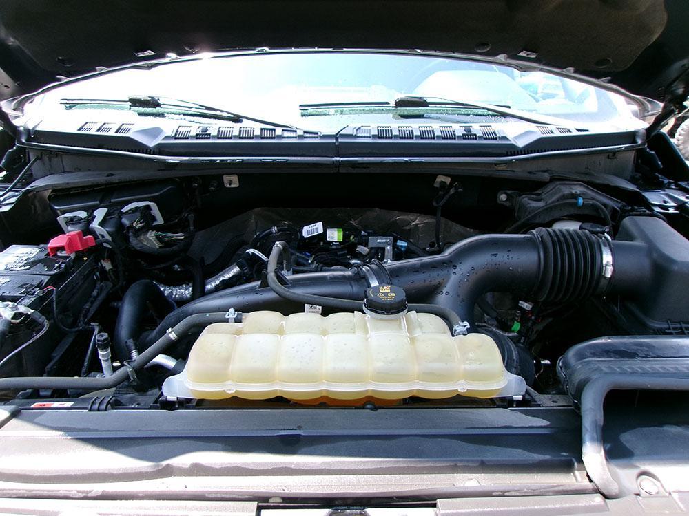 used 2019 Ford F-150 car, priced at $24,500