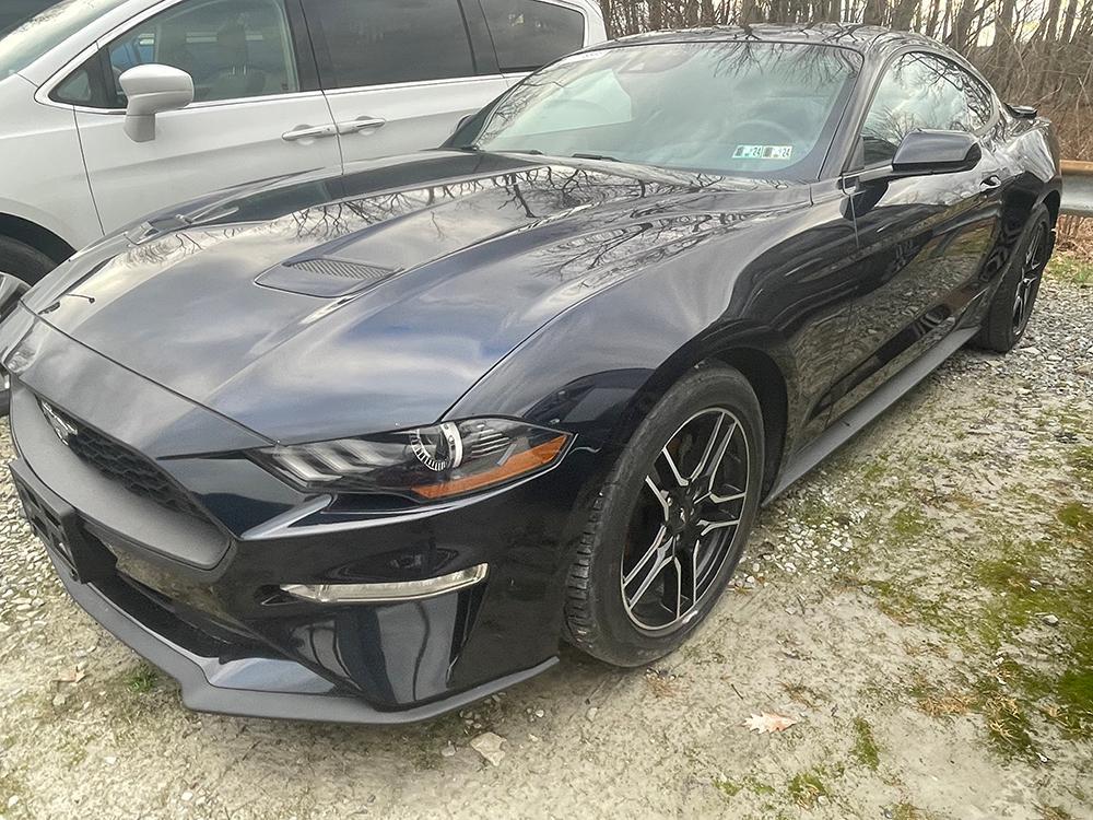 used 2021 Ford Mustang car, priced at $11,000