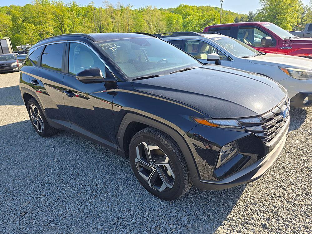 used 2024 Hyundai Tucson car