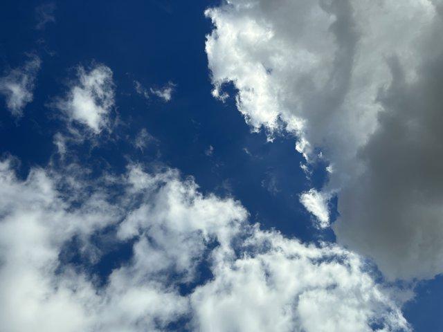 used 2025 Buick Envision car, priced at $41,294