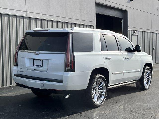 used 2017 Cadillac Escalade car, priced at $25,944