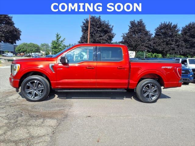 used 2023 Ford F-150 car, priced at $41,498