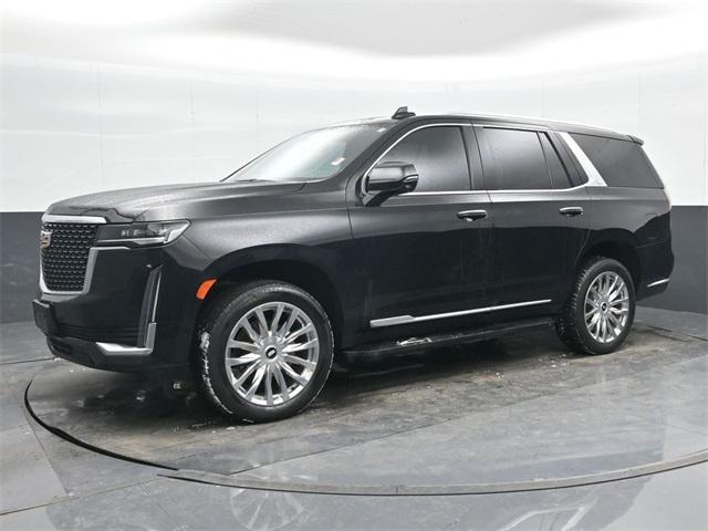 used 2023 Cadillac Escalade car, priced at $66,500