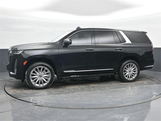 used 2023 Cadillac Escalade car, priced at $66,500