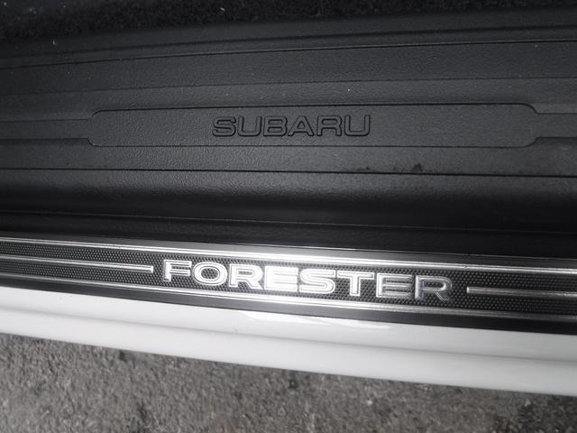 new 2024 Subaru Forester car, priced at $35,813