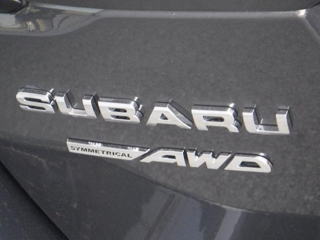 new 2024 Subaru Outback car