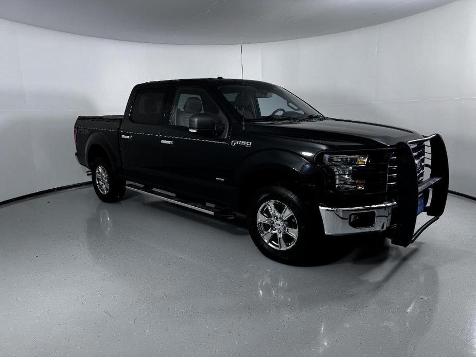 used 2015 Ford F-150 car