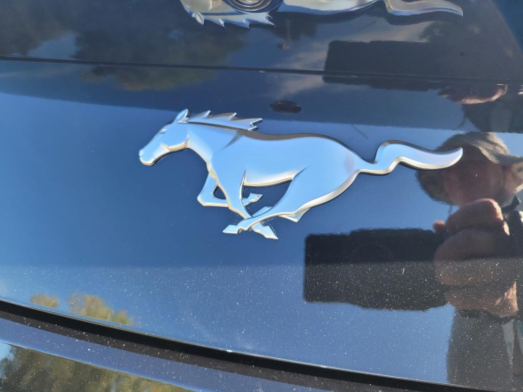 used 2024 Ford Mustang car, priced at $27,270