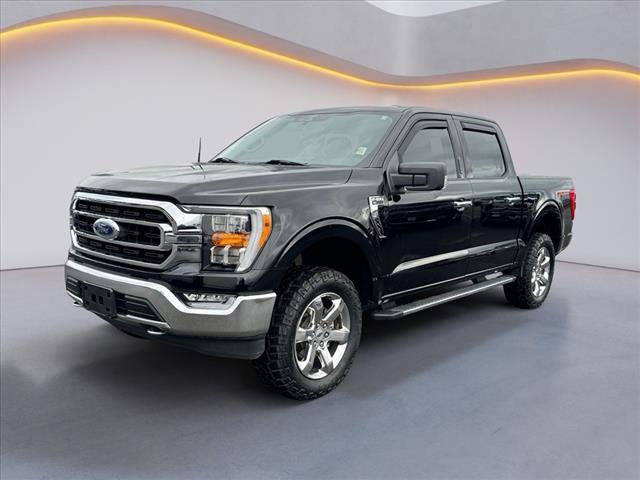 used 2021 Ford F-150 car