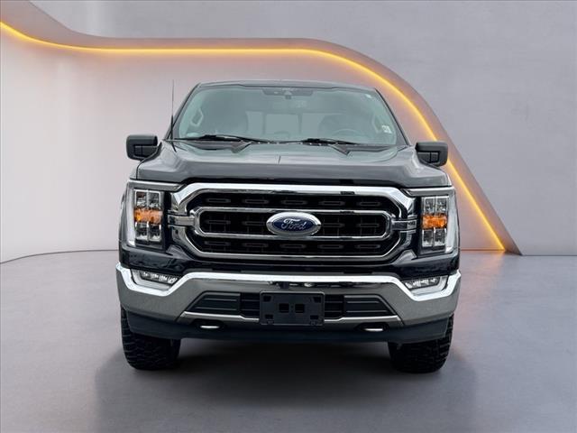 used 2021 Ford F-150 car