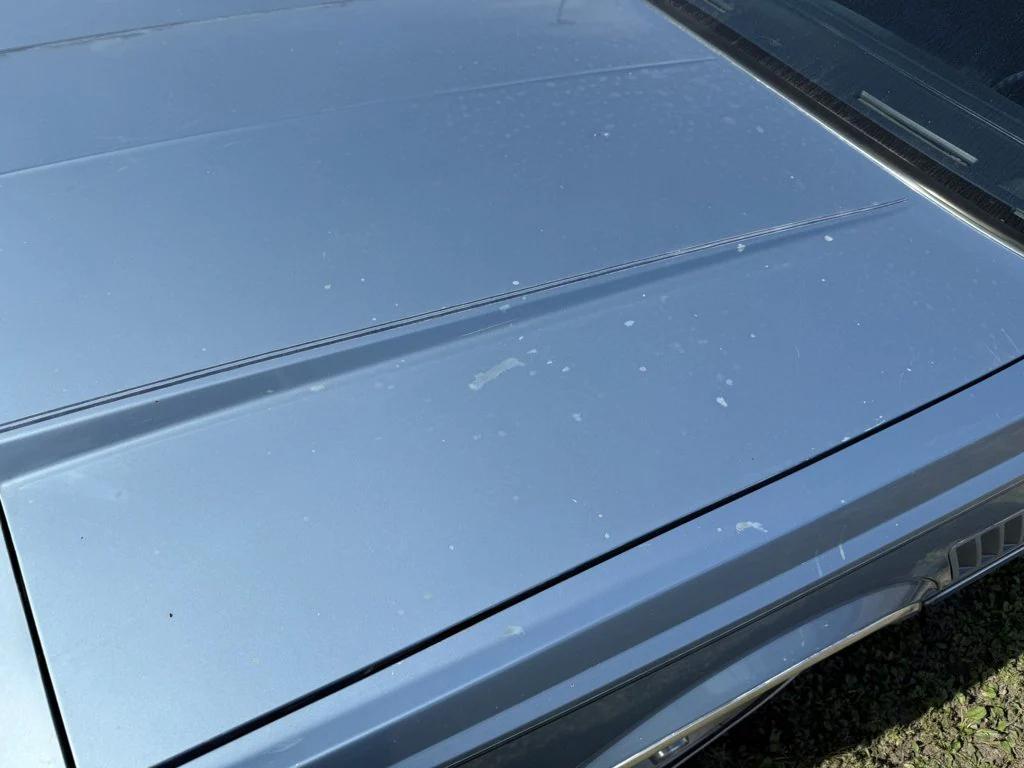 used 1983 Dodge Mirada car, priced at $4,990