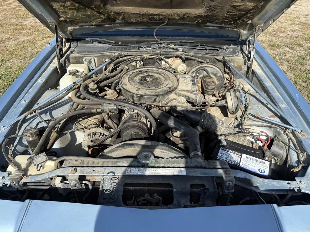 used 1983 Dodge Mirada car, priced at $4,990