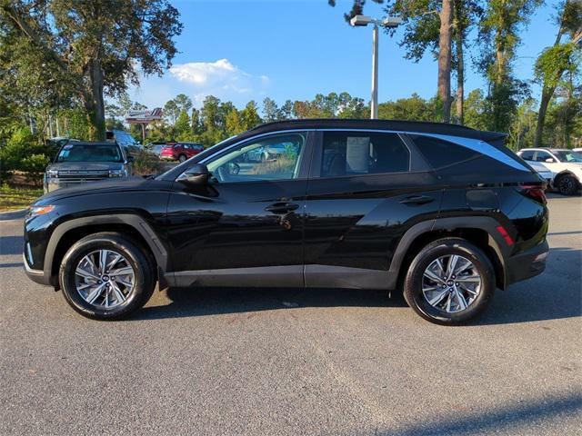 used 2024 Hyundai TUCSON Hybrid car, priced at $25,000