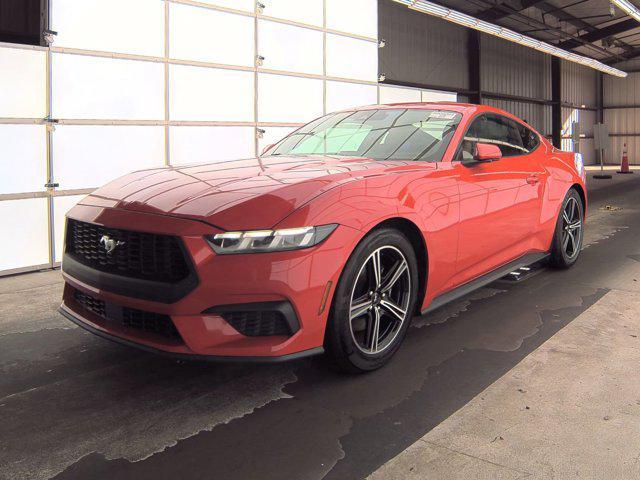 used 2024 Ford Mustang car