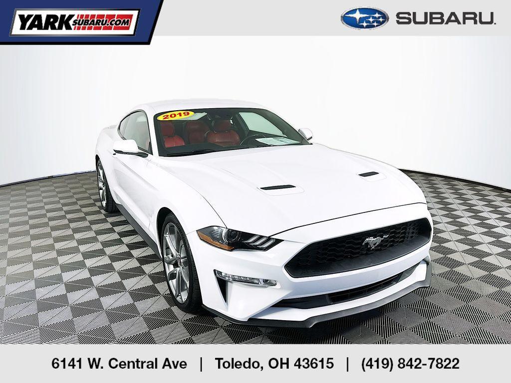 used 2019 Ford Mustang car, priced at $22,315