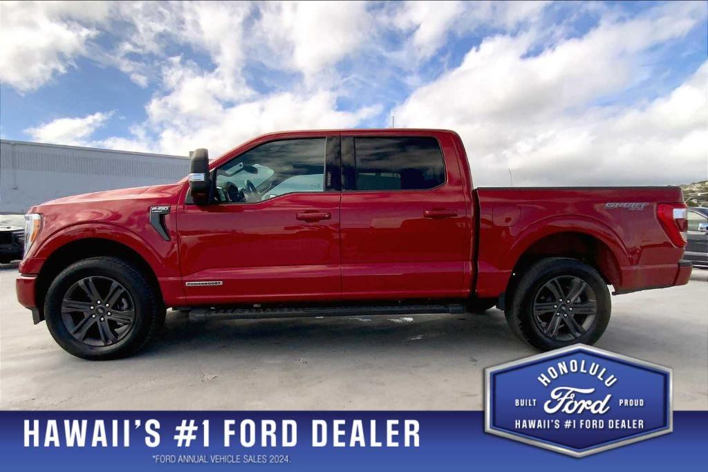 used 2023 Ford F-150 car