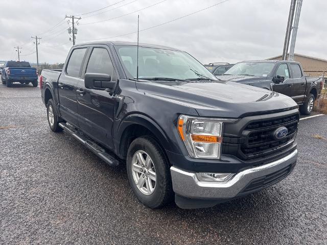 used 2021 Ford F-150 car, priced at $34,130