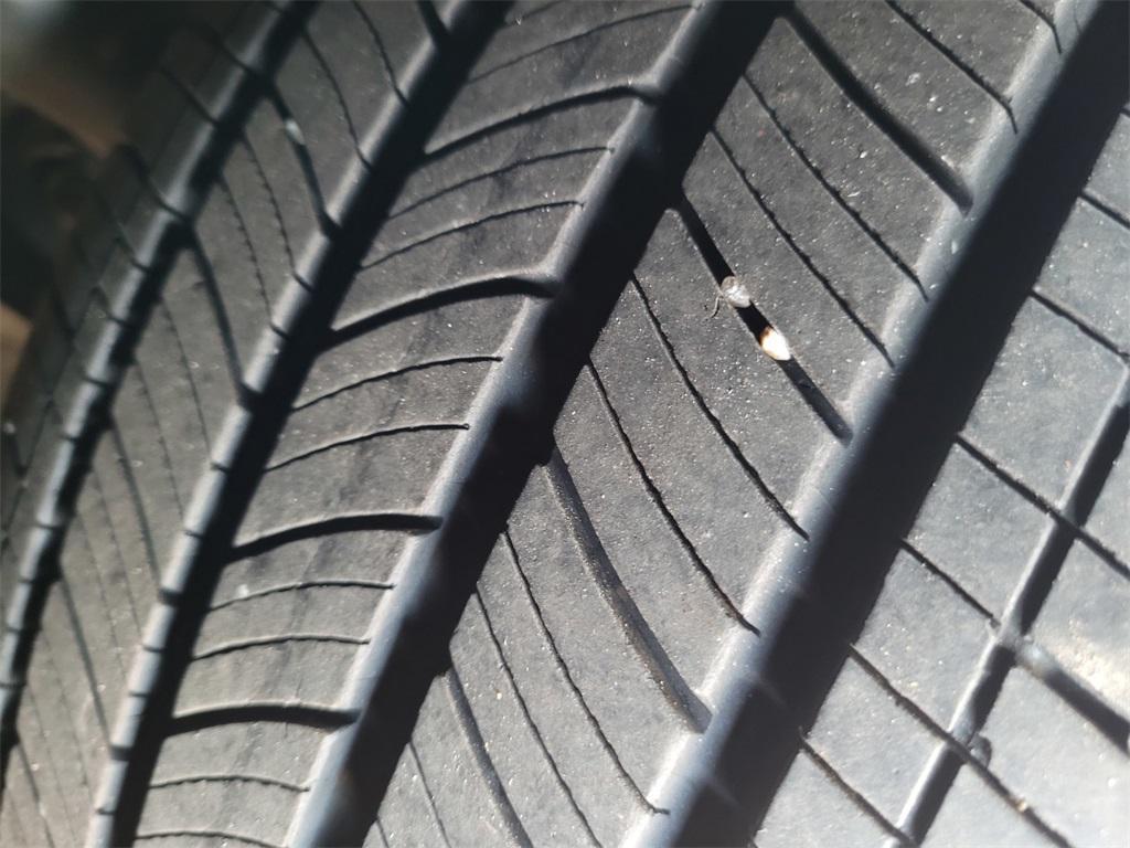 used 2024 Honda Accord car, priced at $26,614