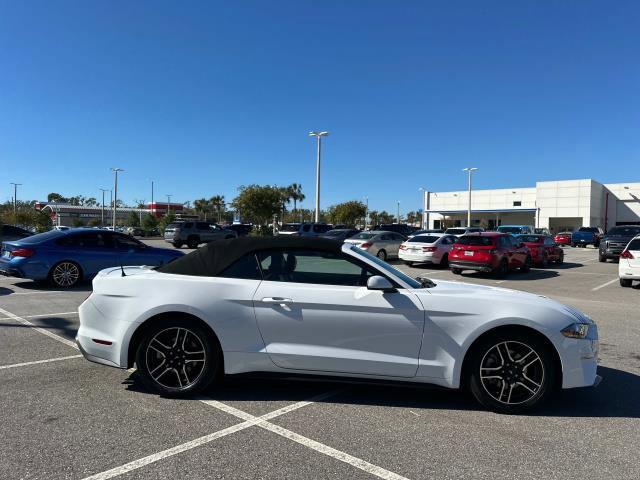 used 2021 Ford Mustang car, priced at $20,000