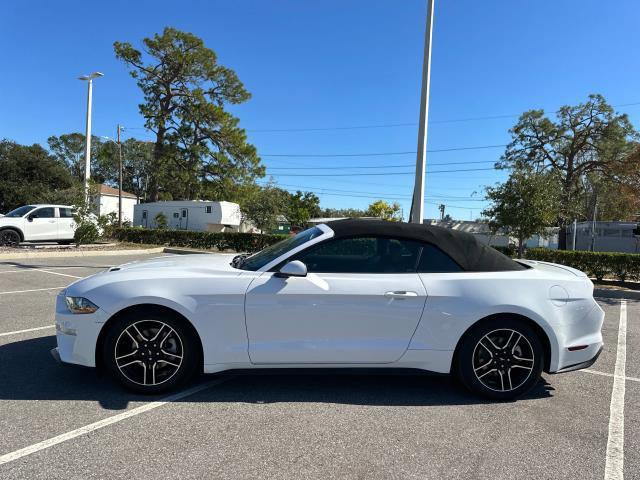 used 2021 Ford Mustang car, priced at $20,000