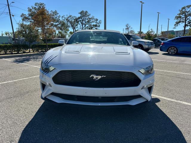 used 2021 Ford Mustang car, priced at $20,000