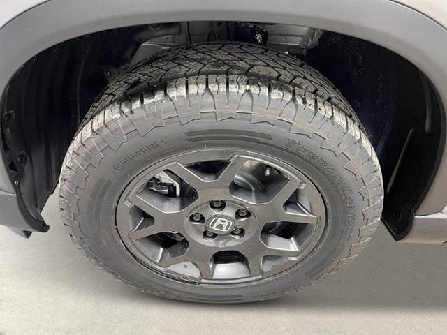new 2025 Honda Pilot car, priced at $49,079