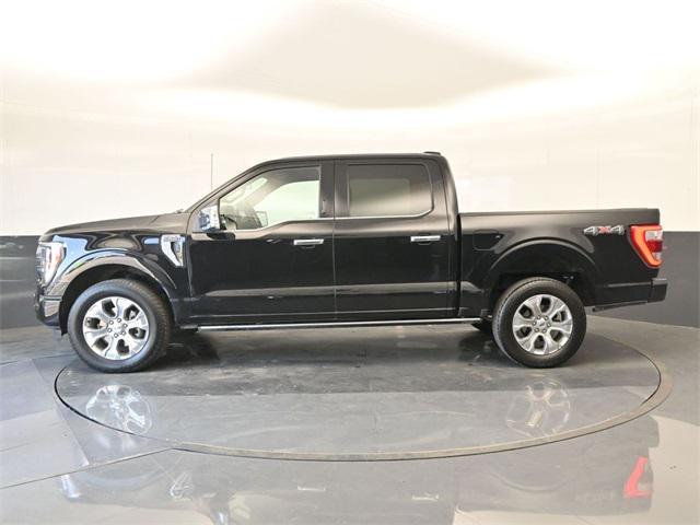 used 2023 Ford F-150 car, priced at $48,888