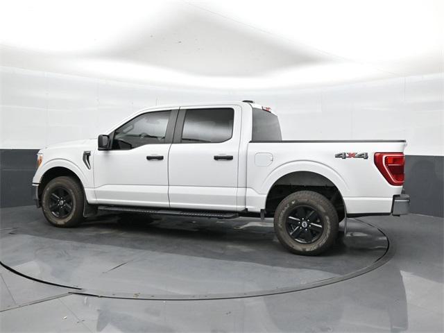used 2021 Ford F-150 car, priced at $40,000