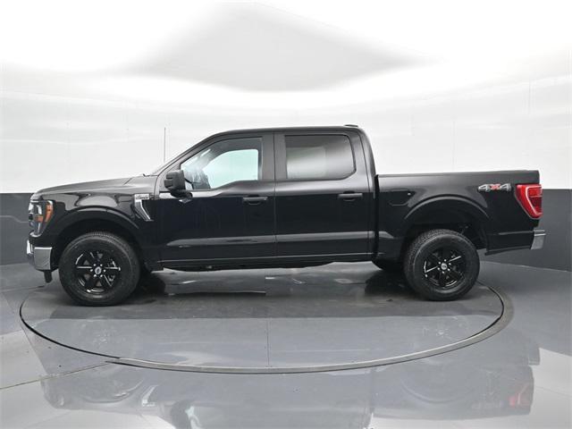 used 2023 Ford F-150 car, priced at $35,000