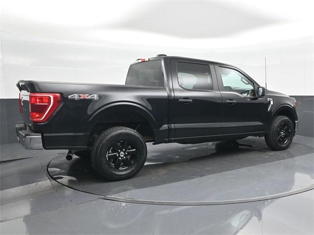 used 2023 Ford F-150 car, priced at $35,000