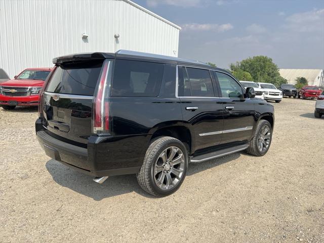 used 2016 Cadillac Escalade car, priced at $41,980