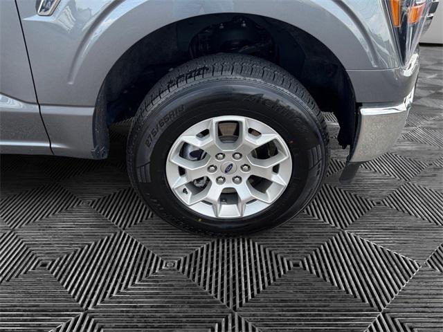used 2023 Ford F-150 car