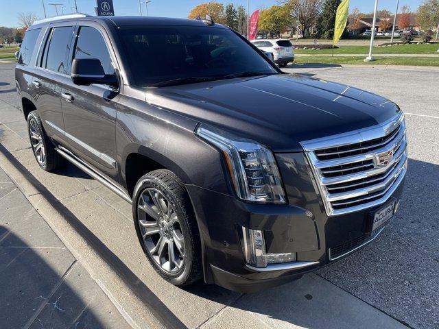 used 2017 Cadillac Escalade car, priced at $30,788