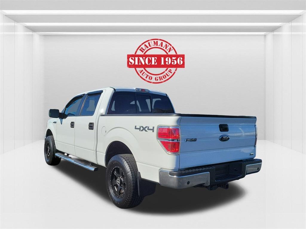 used 2010 Ford F-150 car, priced at $10,000