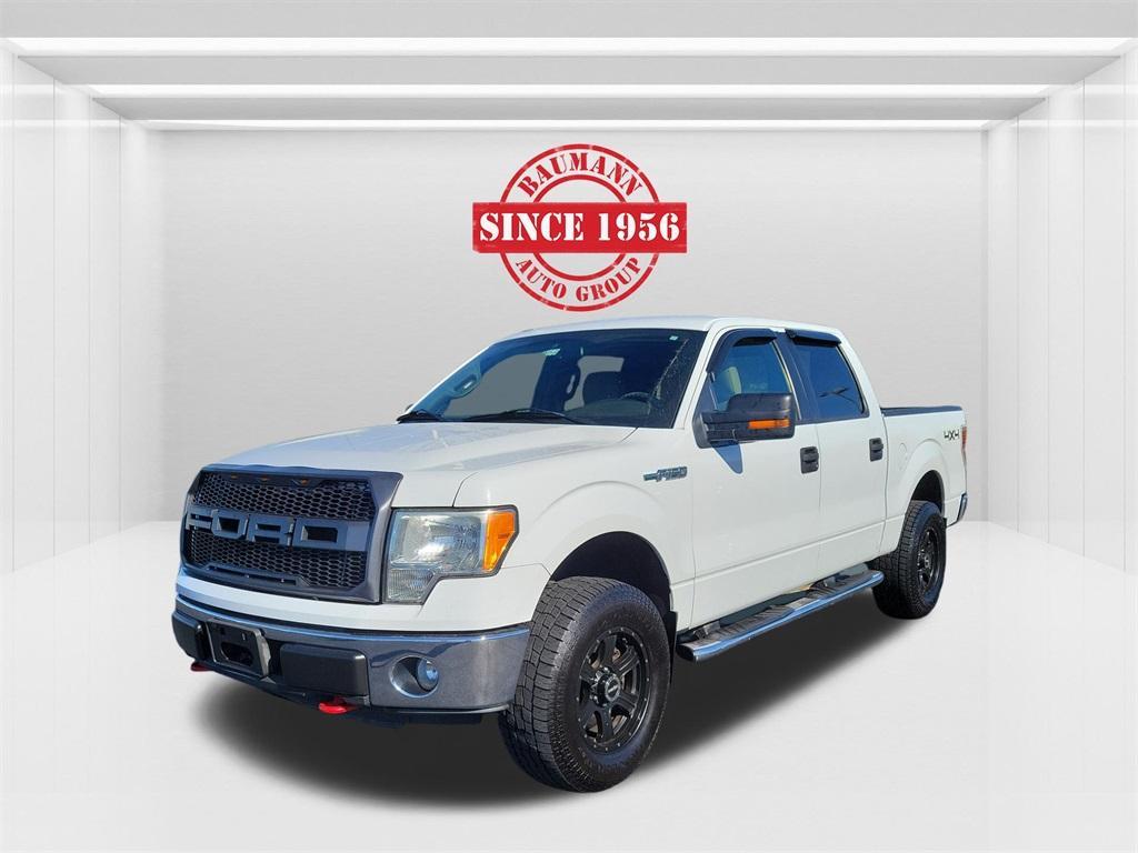 used 2010 Ford F-150 car, priced at $10,000