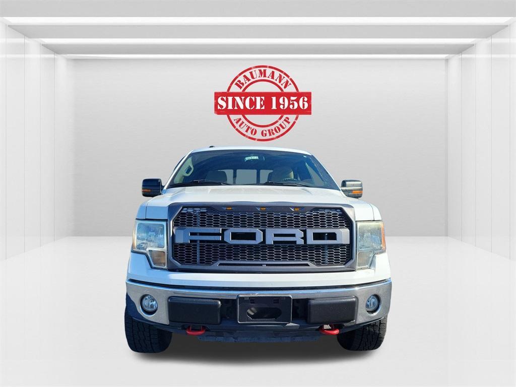 used 2010 Ford F-150 car, priced at $10,000