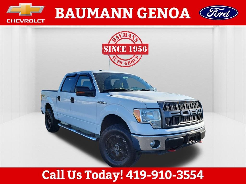 used 2010 Ford F-150 car, priced at $10,000