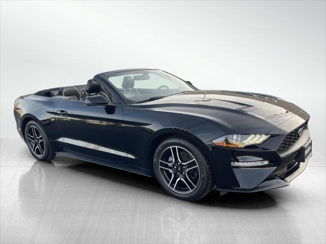 used 2019 Ford Mustang car, priced at $19,990