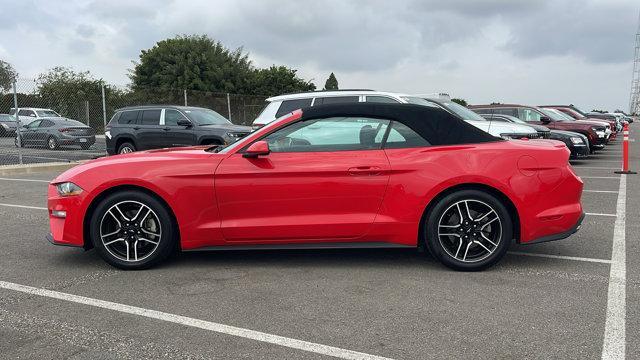 used 2021 Ford Mustang car, priced at $21,451