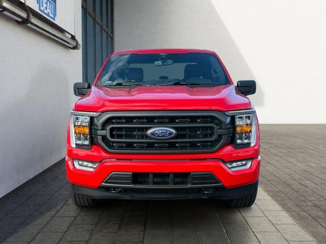 used 2021 Ford F-150 car, priced at $21,995