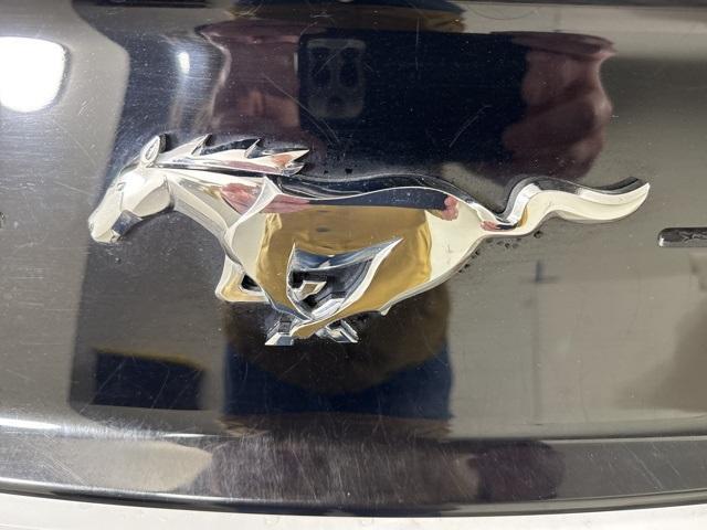 used 2019 Ford Mustang car, priced at $23,999